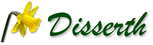 Disserth Caravan Park