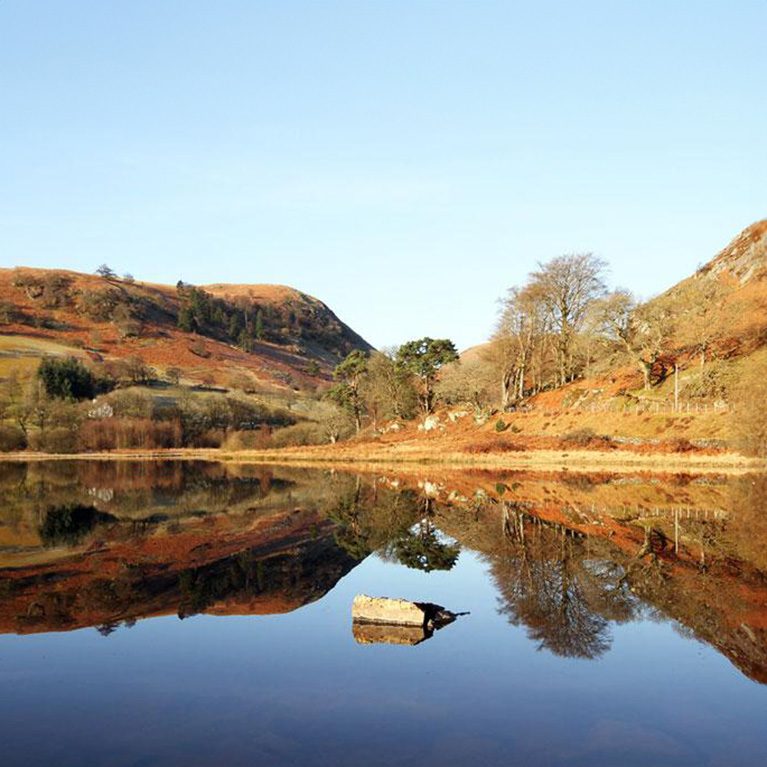 Reflections