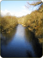 River Ithon at Disserth